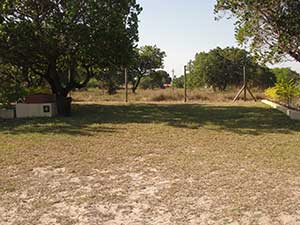 Campsite 4