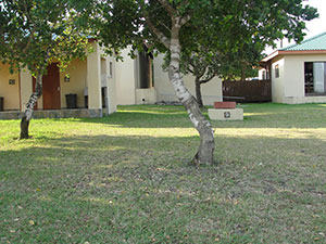 Campsite 9